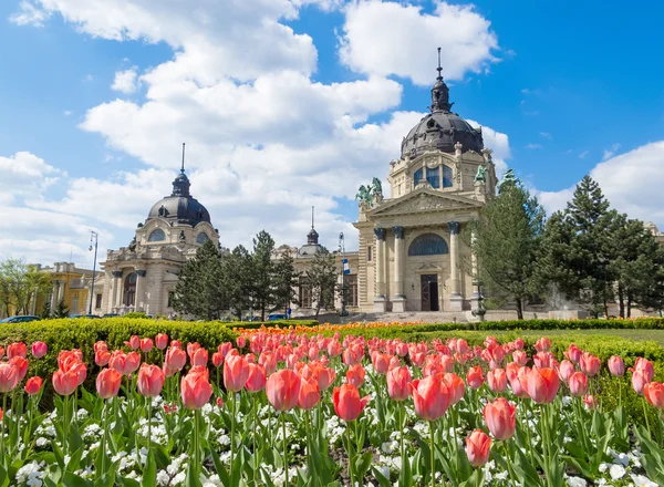 Hungria com um jardim de flores na frente . — Fotografia de Stock