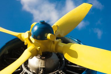 Orman kardeşleri gezisi