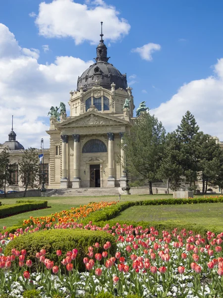 Łaźni termalnej szechenyi w Budapeszcie — Zdjęcie stockowe