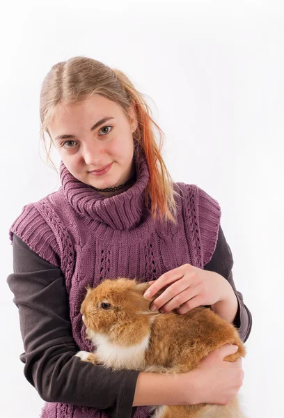 Retrato Estudio Una Hermosa Chica Con Conejo Marrón —  Fotos de Stock