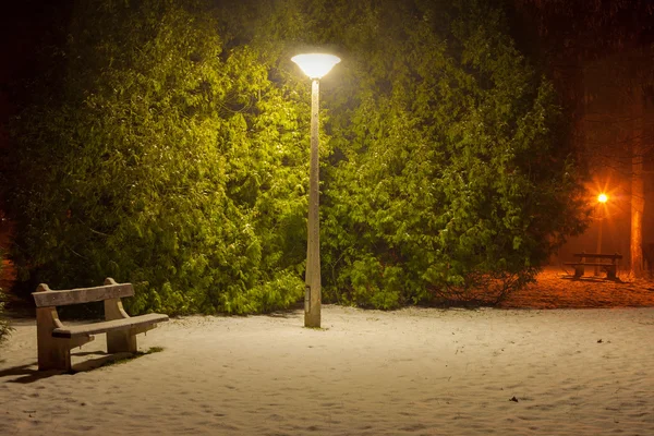 Parco Invernale Notte Con Panchine Lampioni Illuminanti — Foto Stock