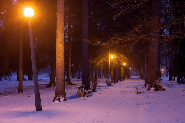 Park Met Lantaarnpalen Banken Winter Nachts Rechtenvrije Stockafbeeldingen