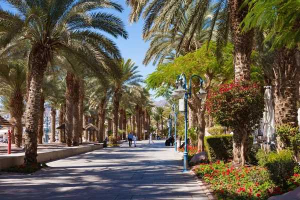 Eilat Israel Febrero 2016 Paseo Marítimo Central Bajo Playa Eilat —  Fotos de Stock