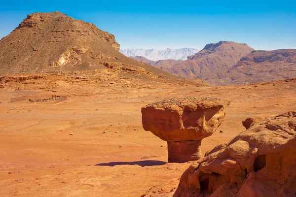 사막에 사암에서 이스라엘의에 가까이 — 스톡 사진