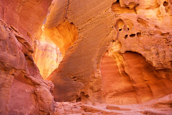 Mur Grès Aux Piliers Salomons Dans Timna Park Près Eilat — Photo