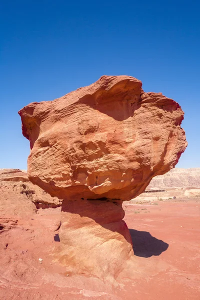 Zandstenen Paddenstoel Van Timna National Park Buurt Van Eilat Israël — Stockfoto