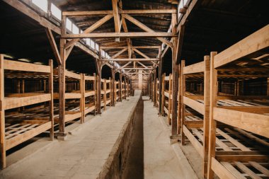 Polonya 'daki Auschwitz toplama kampı