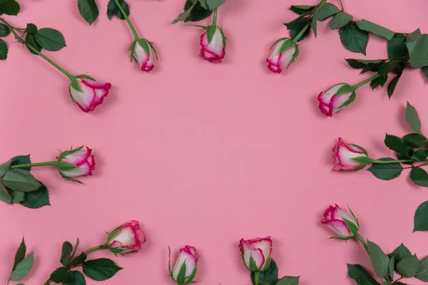 Pembe arka planda güller 14 Şubat Sevgililer Günü, Aşk arkaplanı