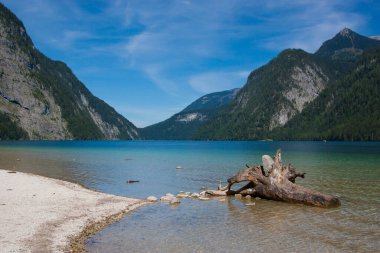 Konigsee Gölü, Suda Driftwood Güzel Alp manzarası, dinlenmek için bir yer, Bavyera Almanya