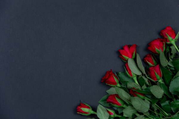 Red roses for the holiday on a dark background, valentine's day, march 8, beautiful card with roses
