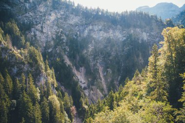 Neuschwanstein Şatosu 'na giden yol güzel görünüyor. Alp manzaralı.