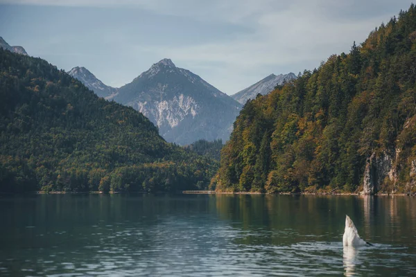 Alpsee 'nin güzel manzarası, Fussen yakınlarında manzaralı dağ manzarası, güneybatı Bavyera, Almanya