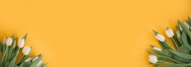 Kadınlar Günü afişi, 8 Mart ya da Sevgililer Günü. Sarı arka planda laleler. Yukarıdan bak. Yakın plan. Uzayı metin için kopyala. Tatil kavramı ve günaydın dilekleri..