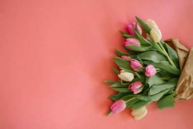 Kadınlar Günü, Anneler Günü, 8 Mart ya da Sevgililer Günü için pembe arka planda laleler. Yakın plan. Tatil kavramı ve günaydın dilekleri..