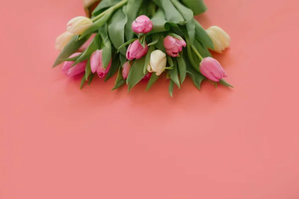 Kadınlar Günü, Anneler Günü, 8 Mart ya da Sevgililer Günü için pembe arka planda laleler. Yakın plan. Tatil kavramı ve günaydın dilekleri..