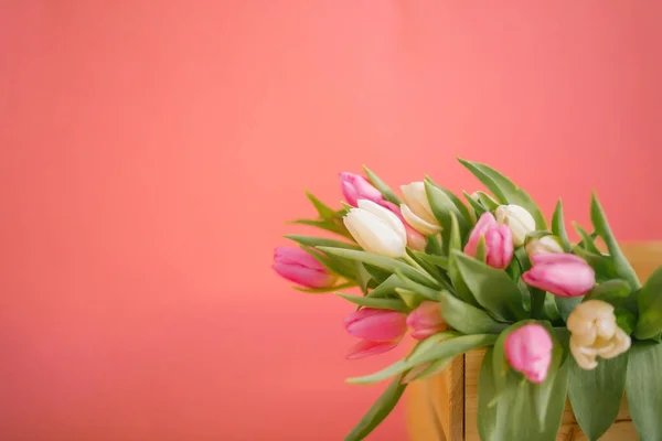 Kadınlar Günü, Anneler Günü, 8 Mart ya da Sevgililer Günü için pembe arka planda laleler. Yakın plan. Tatil kavramı ve günaydın dilekleri..