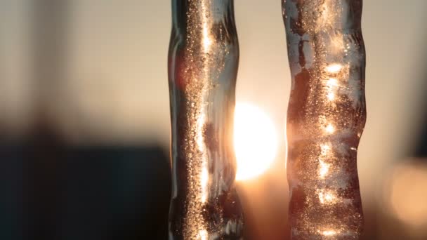 Twee ijspegels 's avonds tegen de zon. — Stockvideo