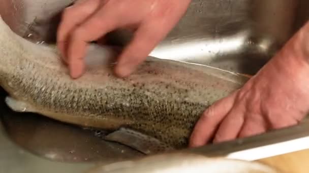 Manos masculinas pescado limpio en el fregadero . — Vídeo de stock