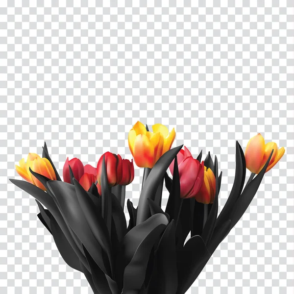 Boeket kleur mooi tulpen een transparante achtergrond. Vectorillustratie. — Stockvector