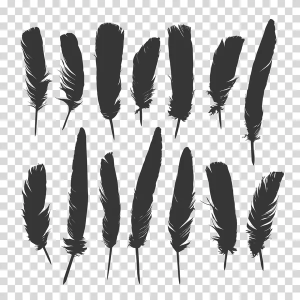 Hand drawn feathers set a transparent background. Vector illustration. — Stock Vector