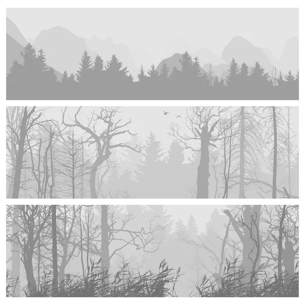Bannières horizontales forêt sauvage . — Image vectorielle