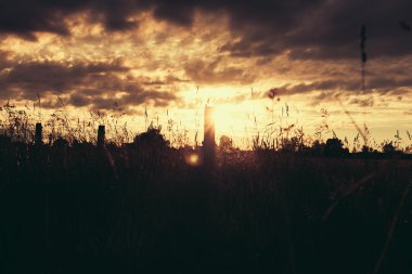 Sunset Bulvarında buğday alan güneş ışınları parlama.