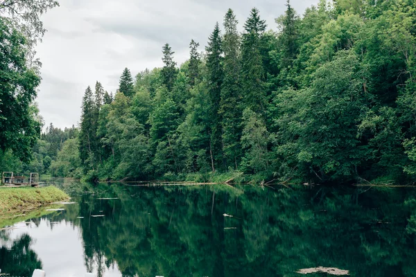 Wunderschöne Landschaft mit See und grünem Wald. — Stockfoto