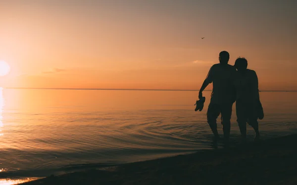 Silhouette of adult couple walks on the seashore against a sunset.