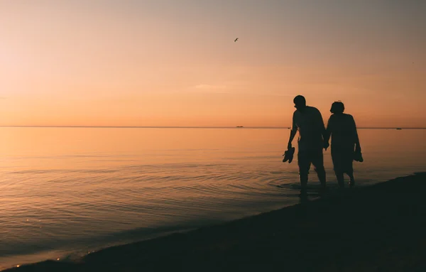 Silhouette of adult couple walks on the seashore against a sunset.