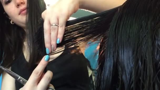 Peluquería corta el cabello femenino por medio de tijeras . — Vídeo de stock