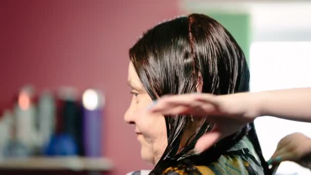 Kapper kammen van haar de client en voor te bereiden voor haircutting. — Stockvideo