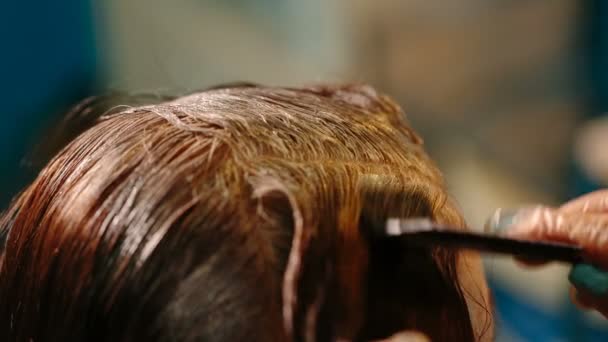Parrucchiere tingere i capelli al cliente . — Video Stock