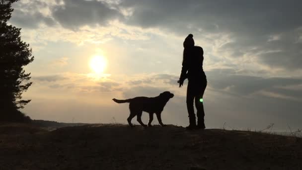Силуэт девушки и собаки против неба и солнца . — стоковое видео