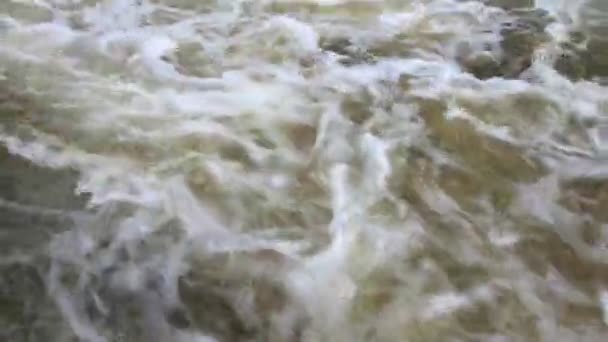 Rio flui no dia na floresta a vista superior . — Vídeo de Stock