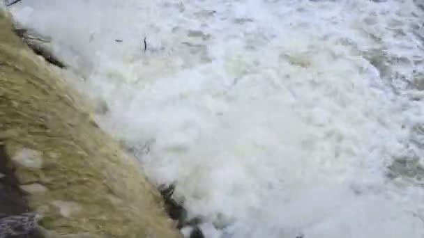 Камера стріляє по річці, а потім повільно піднімається вгору і видаляє хороший пейзаж . — стокове відео