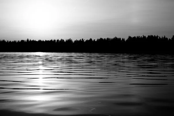 Bellissimo paesaggio di foresta e lago . — Foto Stock