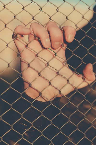 Ruce drží pletivo plotu. — Stock fotografie