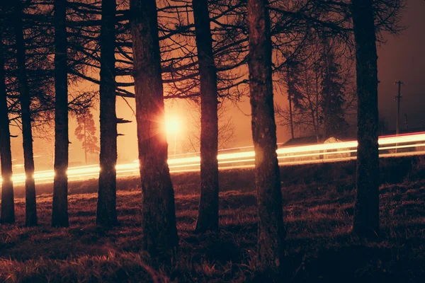 Trees against car light trails in the road. — Stock Photo, Image