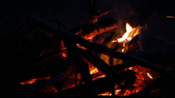 Camera removes coals and as fire burns. — Stock Video