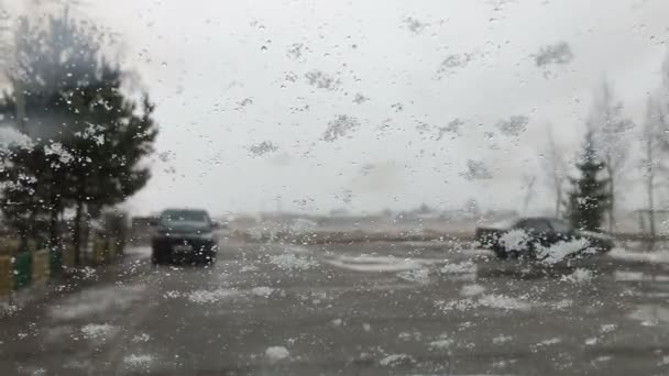 Stora flingor av snö falla på en bil vindrutan. — Stockvideo