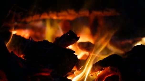 Camera removes coals and as fire burns. — Stock Video