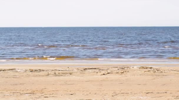 Inflow of the gulf of Finland on the sandy coast. — Stock Video