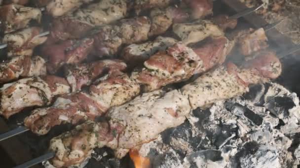 Shish kebab bereidt op kolen. — Stockvideo