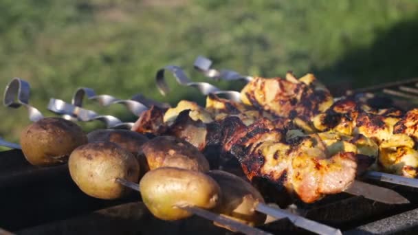 Shish kebab em espetos e batatas cozidas nas brasas no braseiro . — Vídeo de Stock