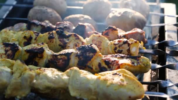 Mangalda Şiş Kebap Videosu Mangalda Şiş Kebap Videosu