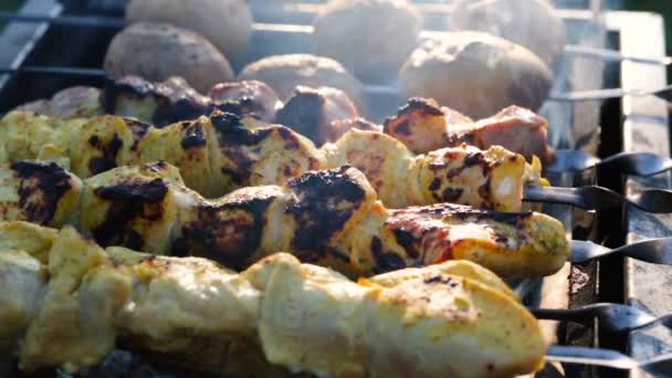 Shish kebab su spiedini e patate cotte sui carboni nel braciere . — Video Stock