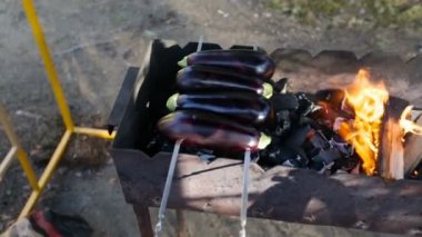 Kamera soldan sağa taşır ve bir mangal şiş ile patlıcan ve yakacak odun bir satırla yakar kaldırır.