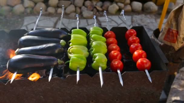 Caméra se déplace sur la droite sur la gauche et enlève que les légumes se préparent sur un brasero dans l'après-midi . — Video