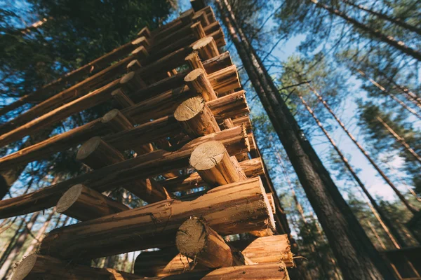 Ahşap inşaat alt görünümü kadar barlar.