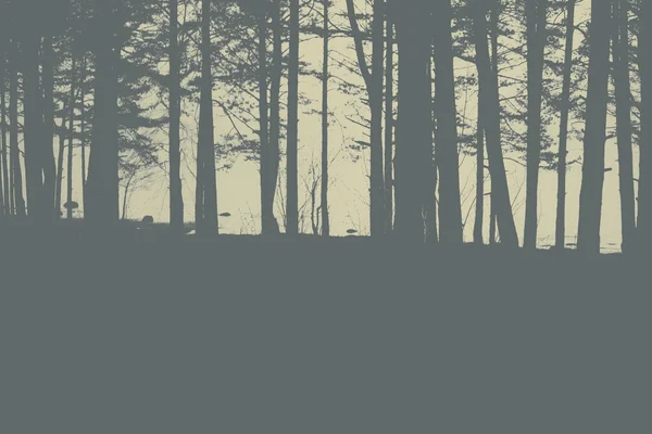 Gray colors trees against the Gulf of Finland at evening. — Stock Photo, Image